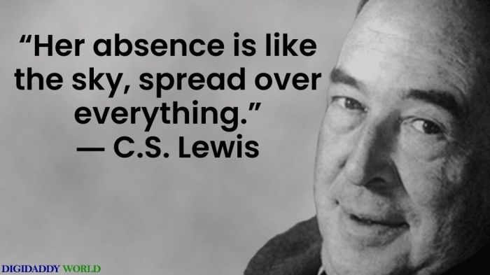 Cs lewis a grief observed quotes