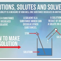 Sugar water dissolve osmosis happens when mixtures molecules biological solvent dissolving dissolves solid does liquid substance into they semi membrane