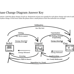 Phase change worksheet answer key