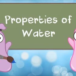 Amoeba sisters properties of water answer key