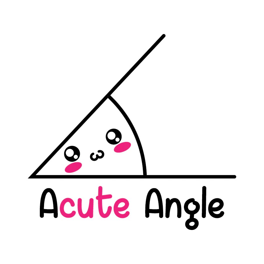 What do you call a destroyed angle math joke