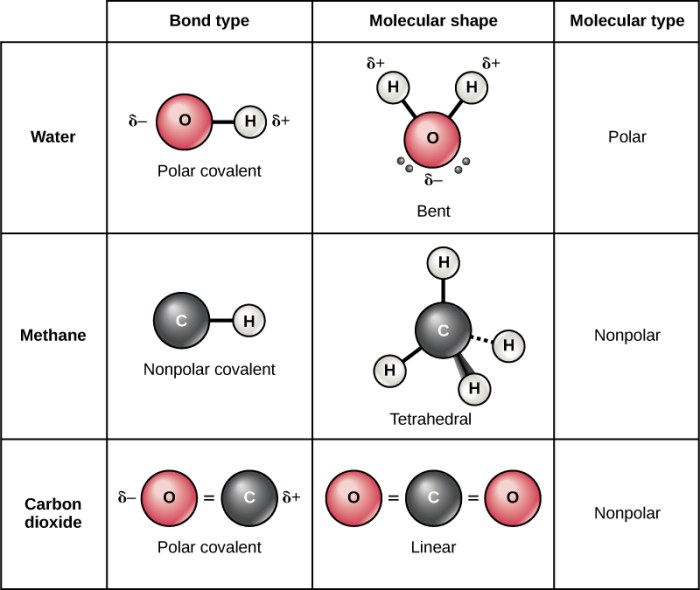 Molecule polarity molecules bonds socratic strongest hydrogen bonding dipole electrons kinds illustrates versus