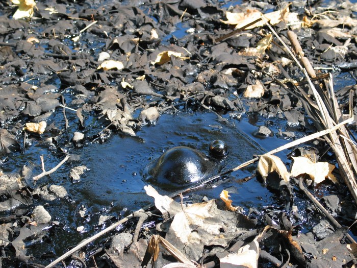 A thick sticky dark fluid produced when tobacco burns