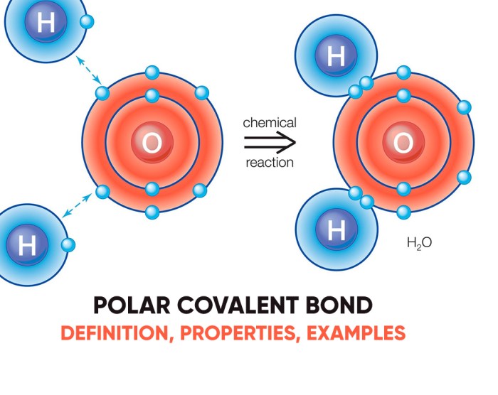 Which molecule or compound below contains a polar covalent bond